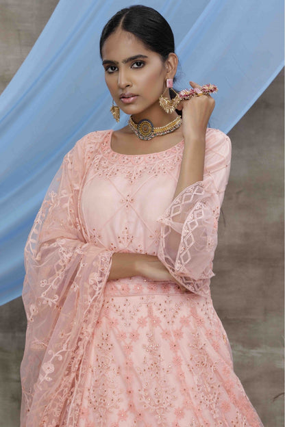 Peach Colour Net Embroidery Gown