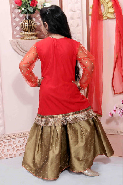 Red Colour Net Party Wear Sharara Suit